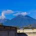 屋外の景色