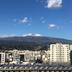 屋外の景色