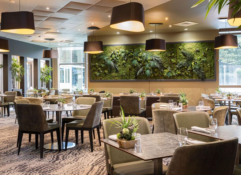 レストラン 写真