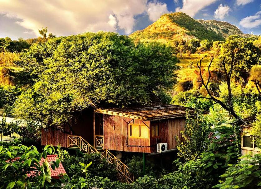 屋外の景色 写真