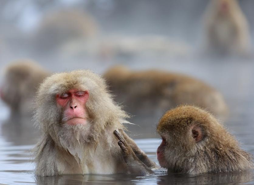 その他 写真