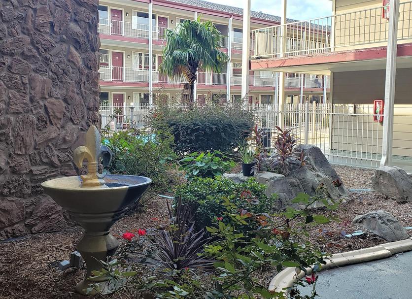 屋外の景色 写真