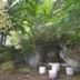 屋外の景色