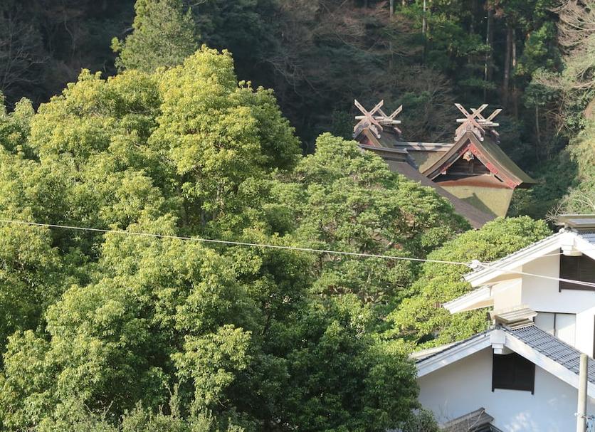 屋外の景色 写真