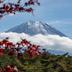 屋外の景色