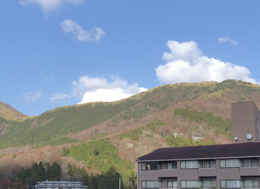 屋外の景色 写真