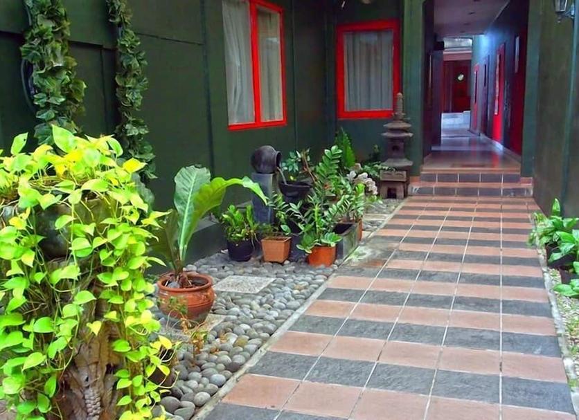 屋外の景色 写真