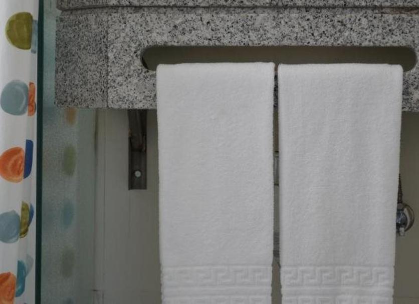 客室の設備 写真