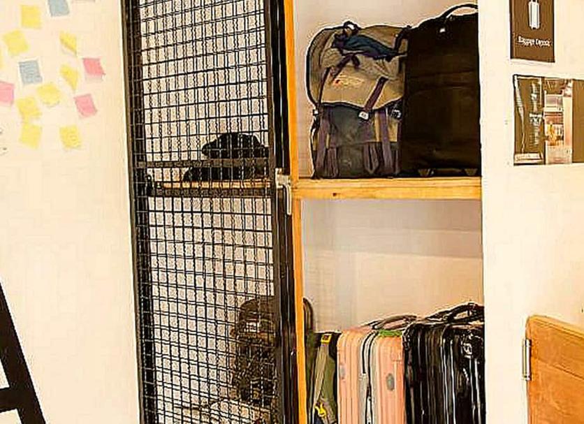 客室の設備 写真