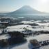屋外の景色