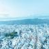 屋外の景色