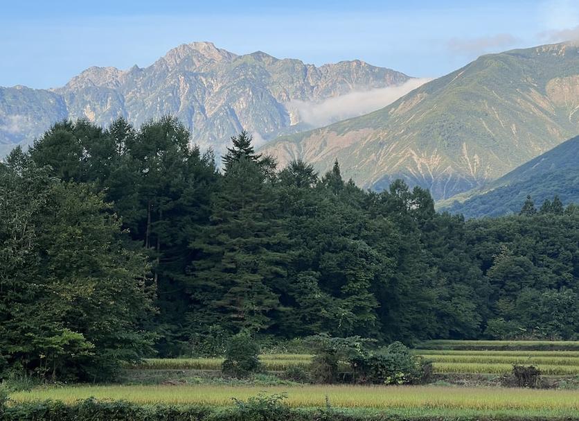 屋外の景色 写真