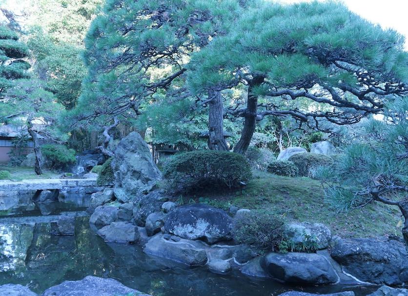 その他 写真