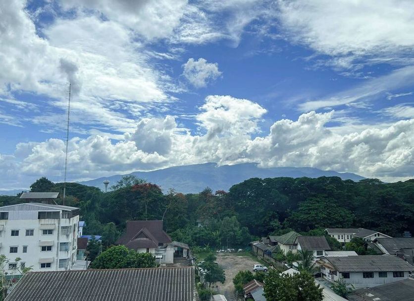 屋外の景色 写真