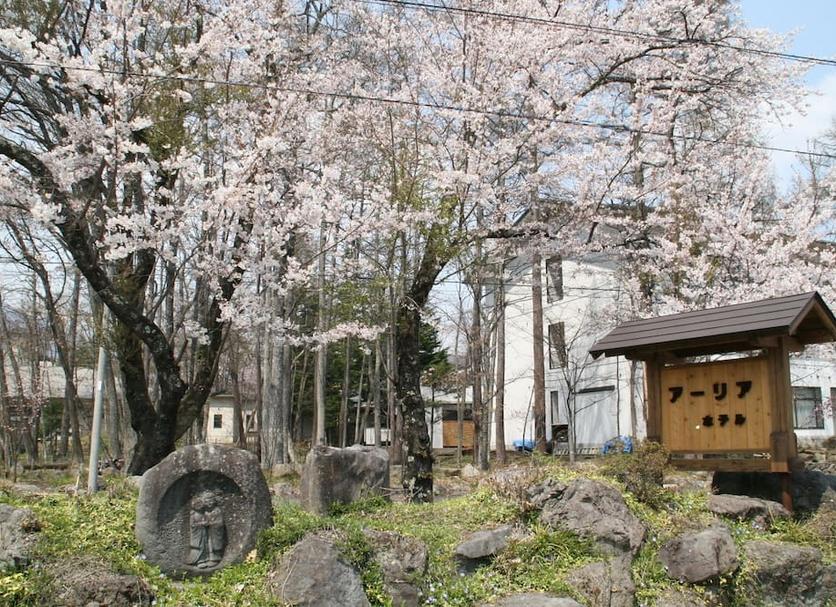 屋外の景色 写真