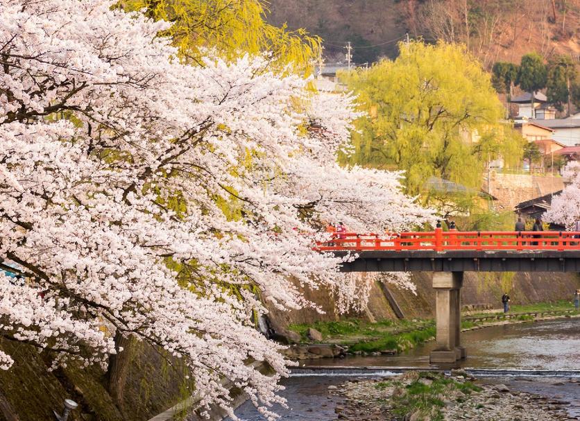 屋外の景色 写真