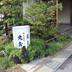屋外の景色