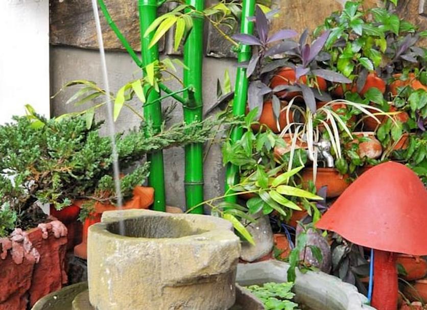 屋外の景色 写真
