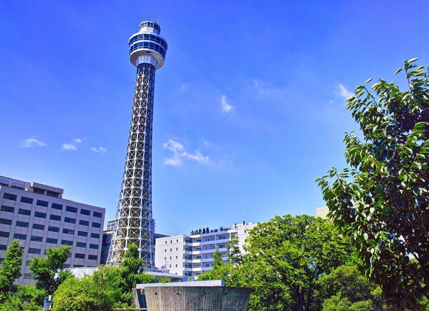 屋外の景色 写真