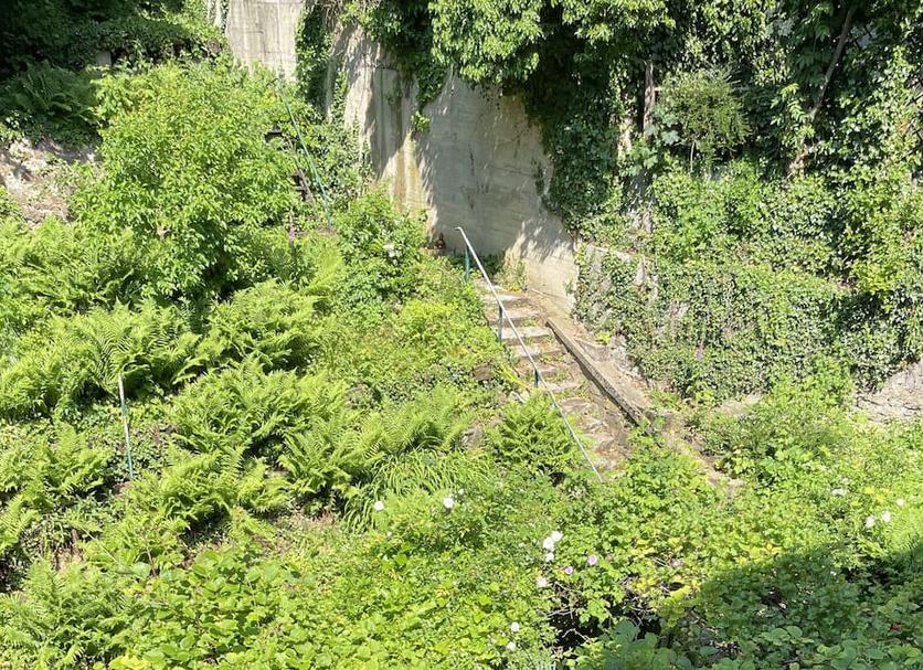 屋外の景色 写真