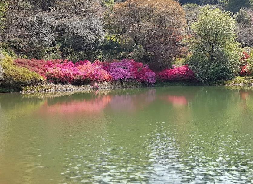 屋外の景色 写真