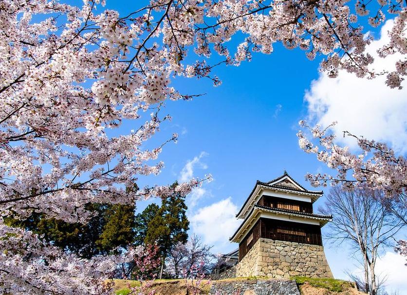 屋外の景色 写真