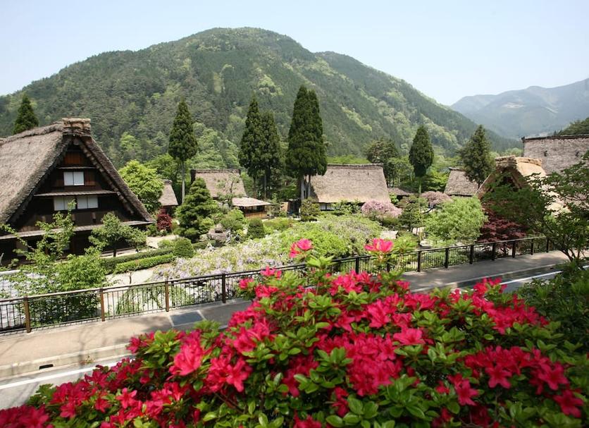 屋外の景色 写真