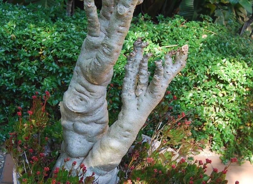 その他 写真