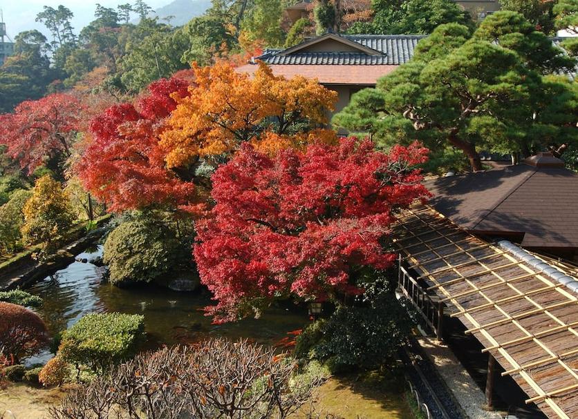 屋外の景色 写真