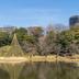 屋外の景色