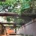 屋外の景色