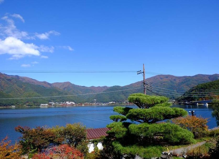 屋外の景色 写真