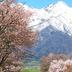 屋外の景色