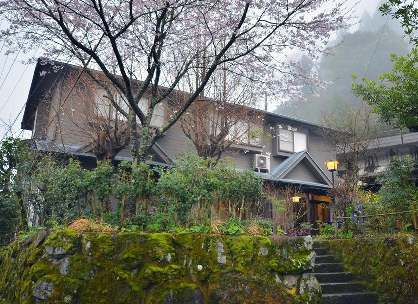 屋外の景色 写真