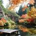 屋外の景色