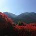 屋外の景色