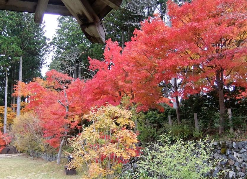 屋外の景色 写真