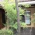 屋外の景色