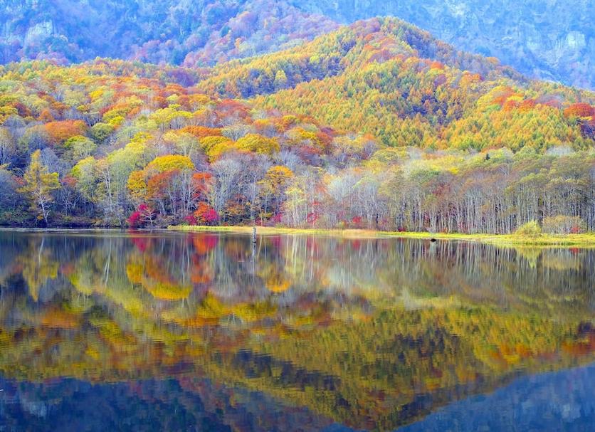屋外の景色 写真