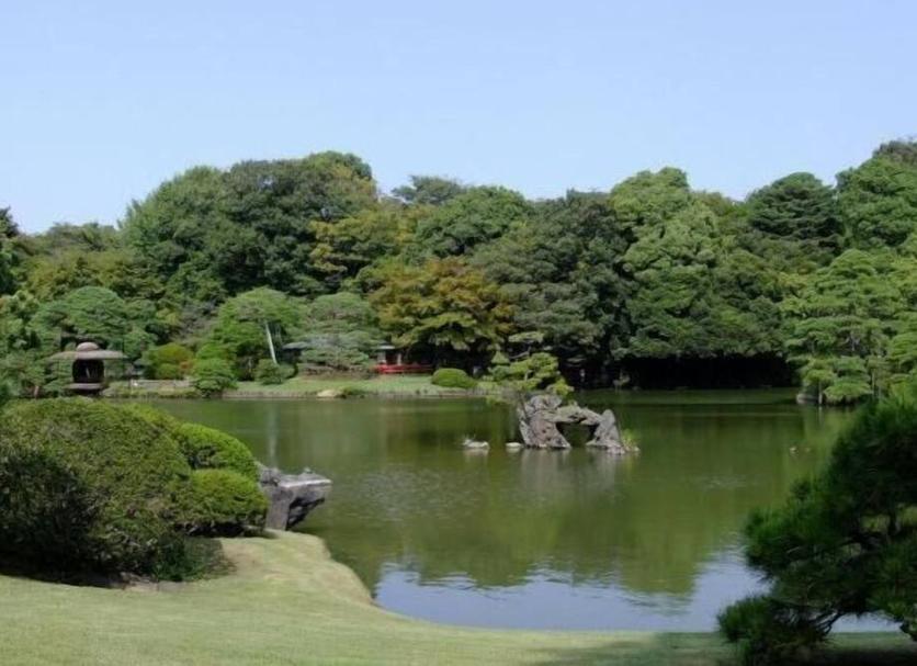 屋外の景色 写真