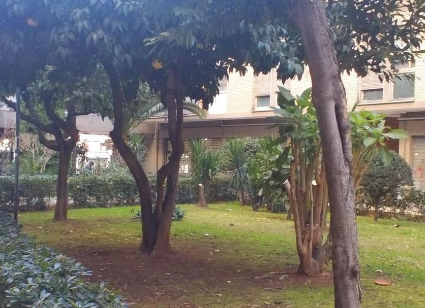 屋外の景色 写真
