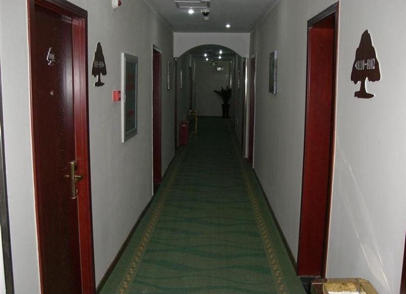 廊下 写真