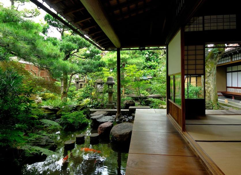 屋外の景色 写真