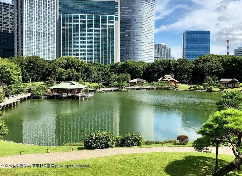 屋外の景色 写真