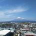 屋外の景色
