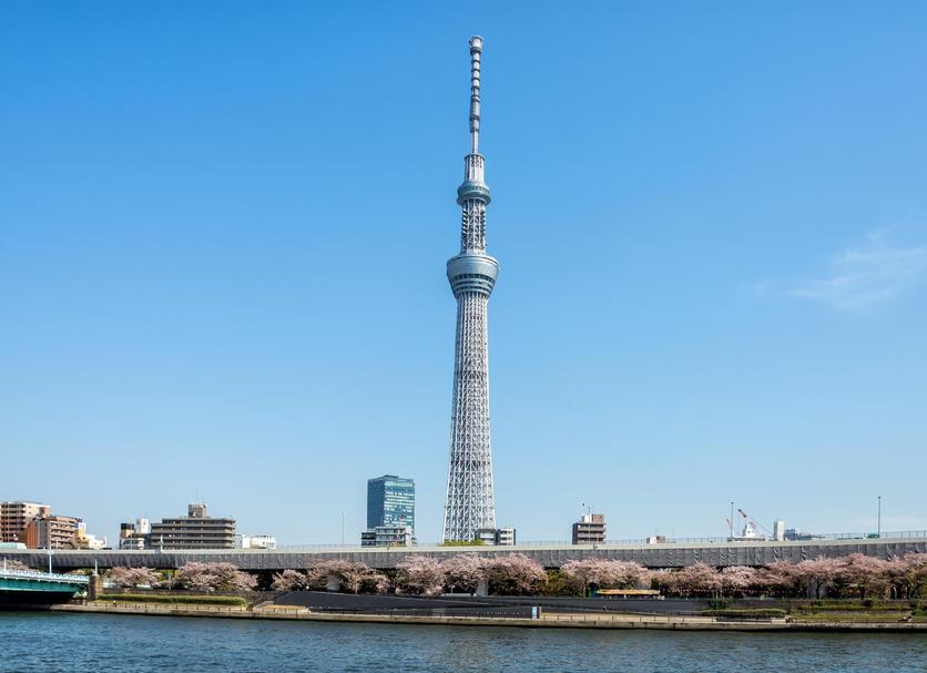 その他 写真
