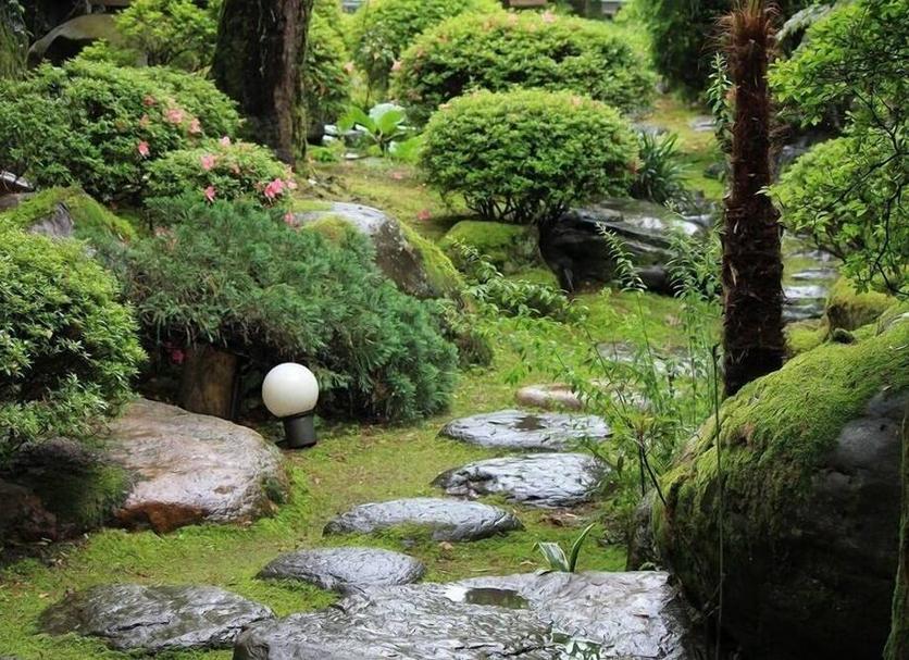 屋外の景色 写真