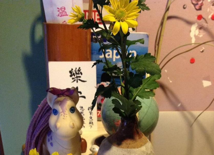 客室の設備 写真