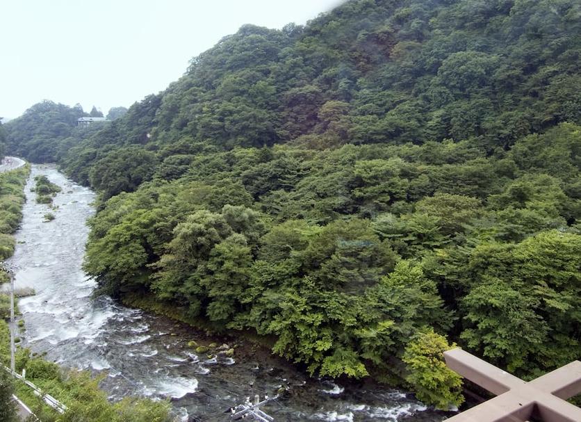 屋外の景色 写真