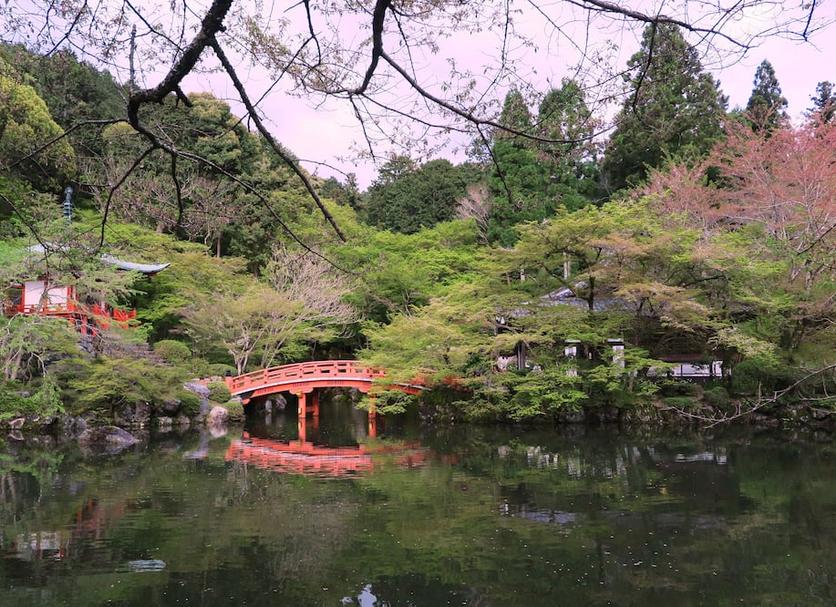 屋外の景色 写真